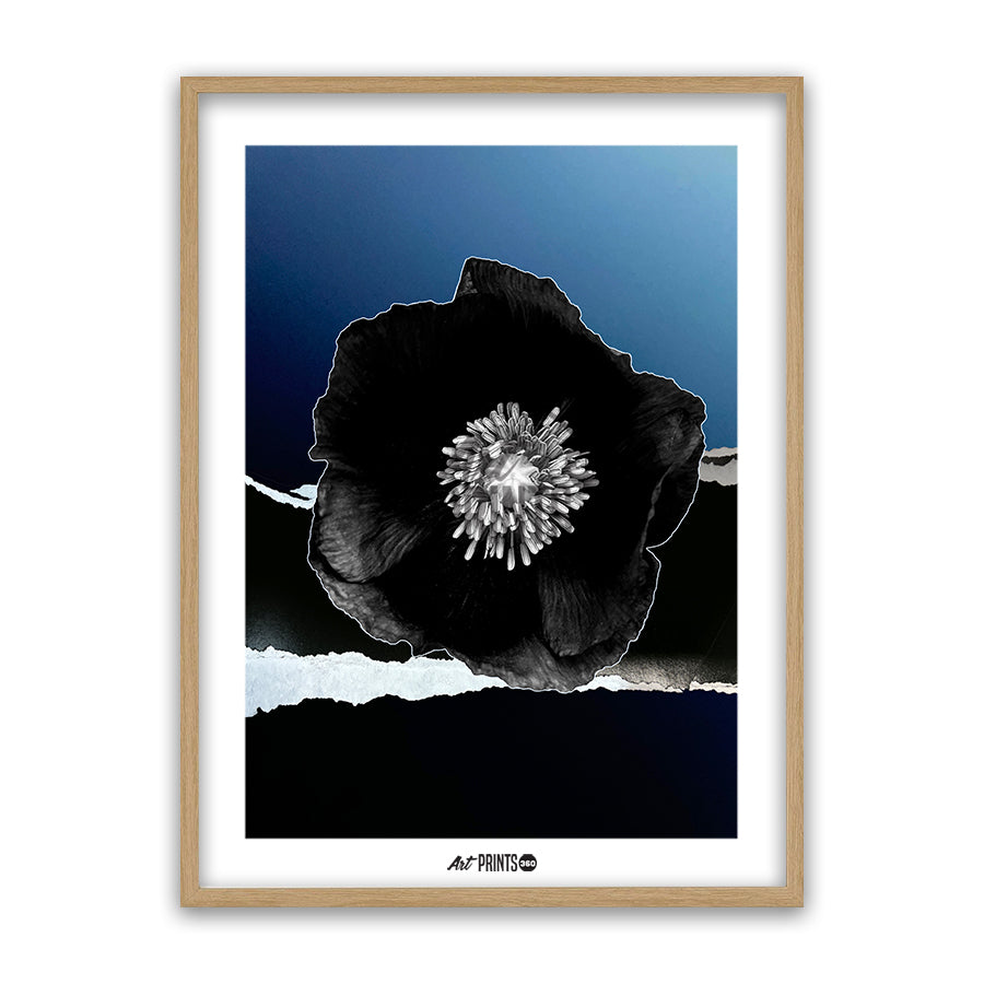 Abstract Black Velvet Garden: Black Flower Art on Blue Background – Modern, Elegant Design for Home Decor