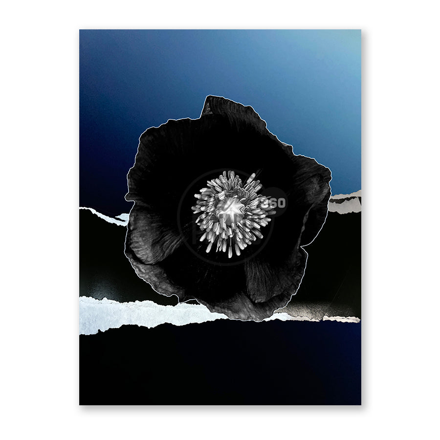 Abstract Black Velvet Garden: Black Flower Art on Blue Background – Modern, Elegant Design for Home Decor